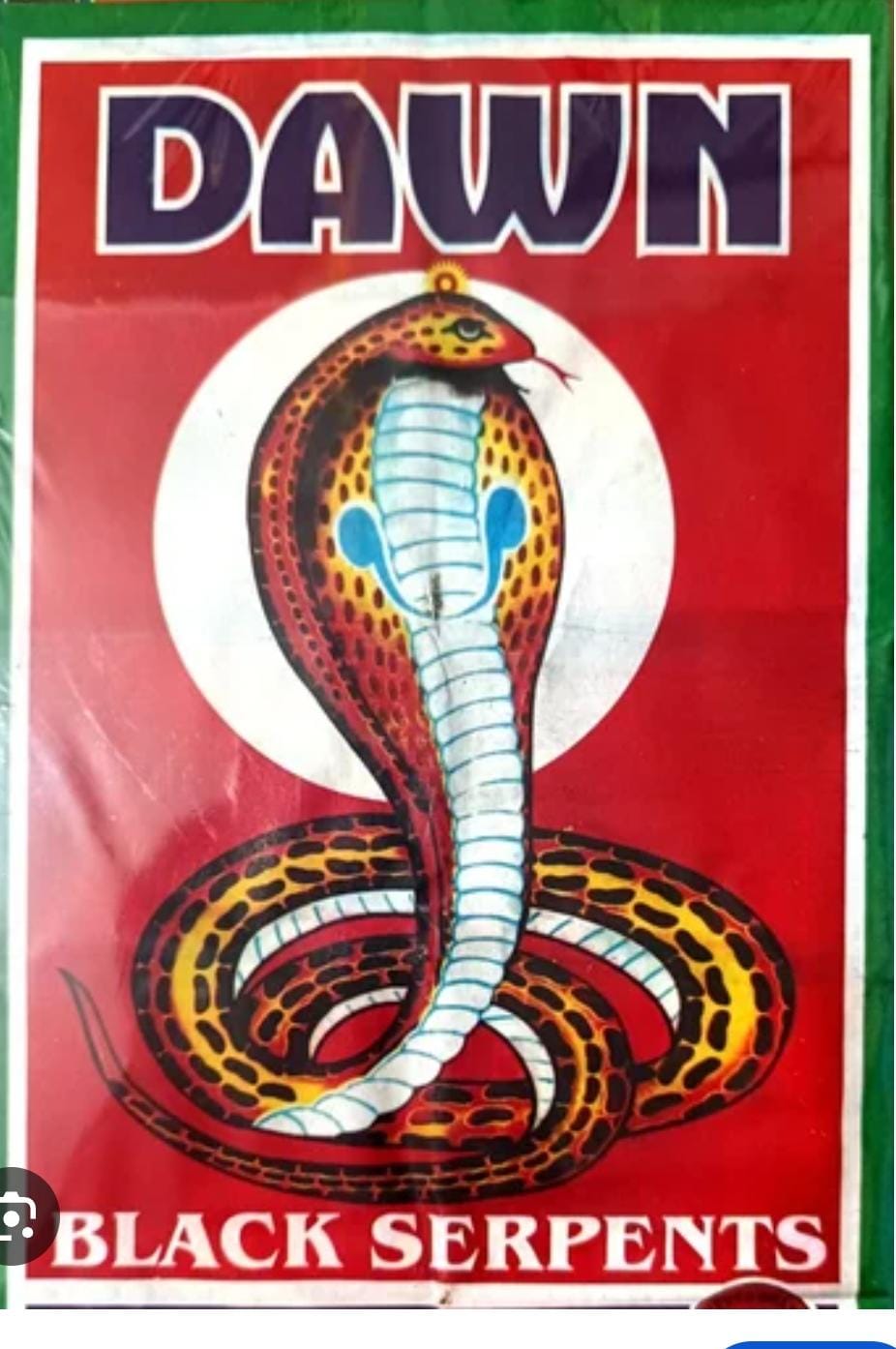 Snake Serpent Big